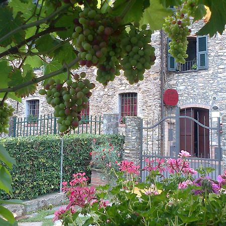 Agriturismo A Veggia Vigna Villa Garlenda Bagian luar foto
